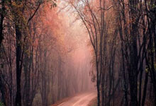 门兴格拉德巴赫的球衣有哪些独特之处？