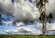 托特纳姆热刺官网能为球迷带来哪些独特体验？