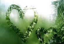 什么样的足球竞彩APP最好用？