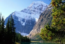 2023女足世界杯决赛有哪些精彩故事和深远影响？