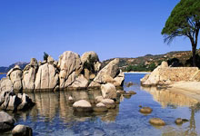 门兴格拉德巴赫的球衣有哪些独特之处？